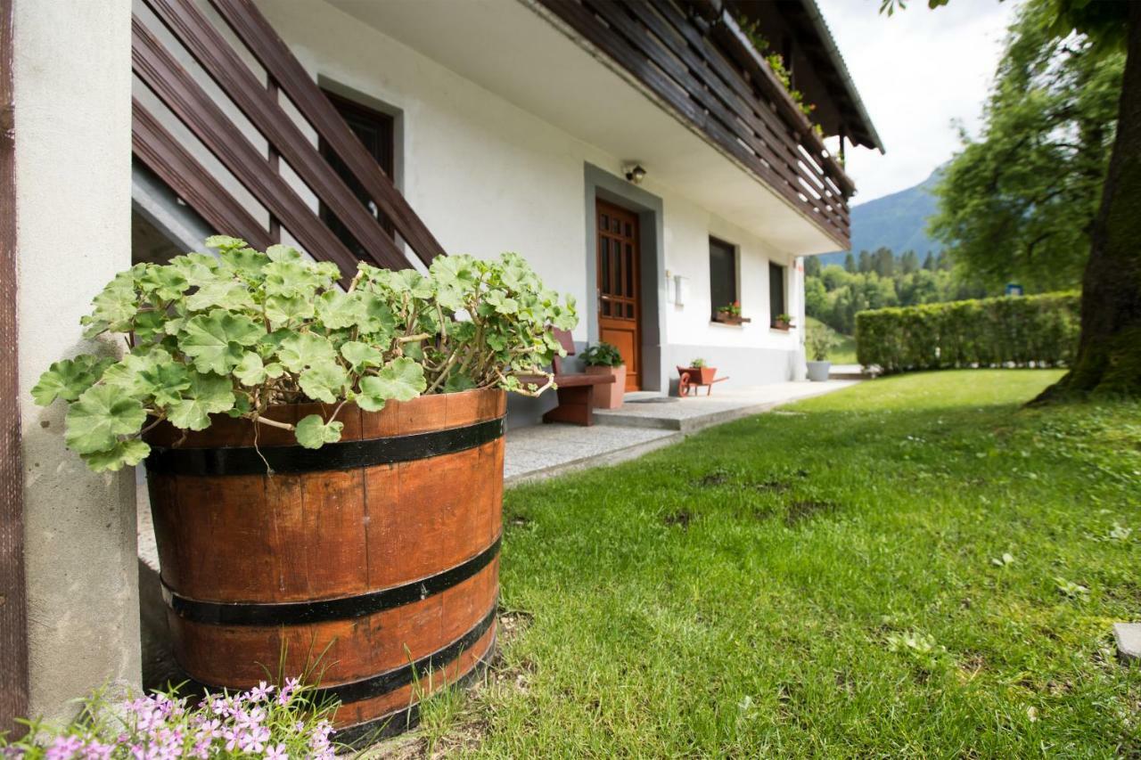Apartma Pr Gatej Bohinj Extérieur photo