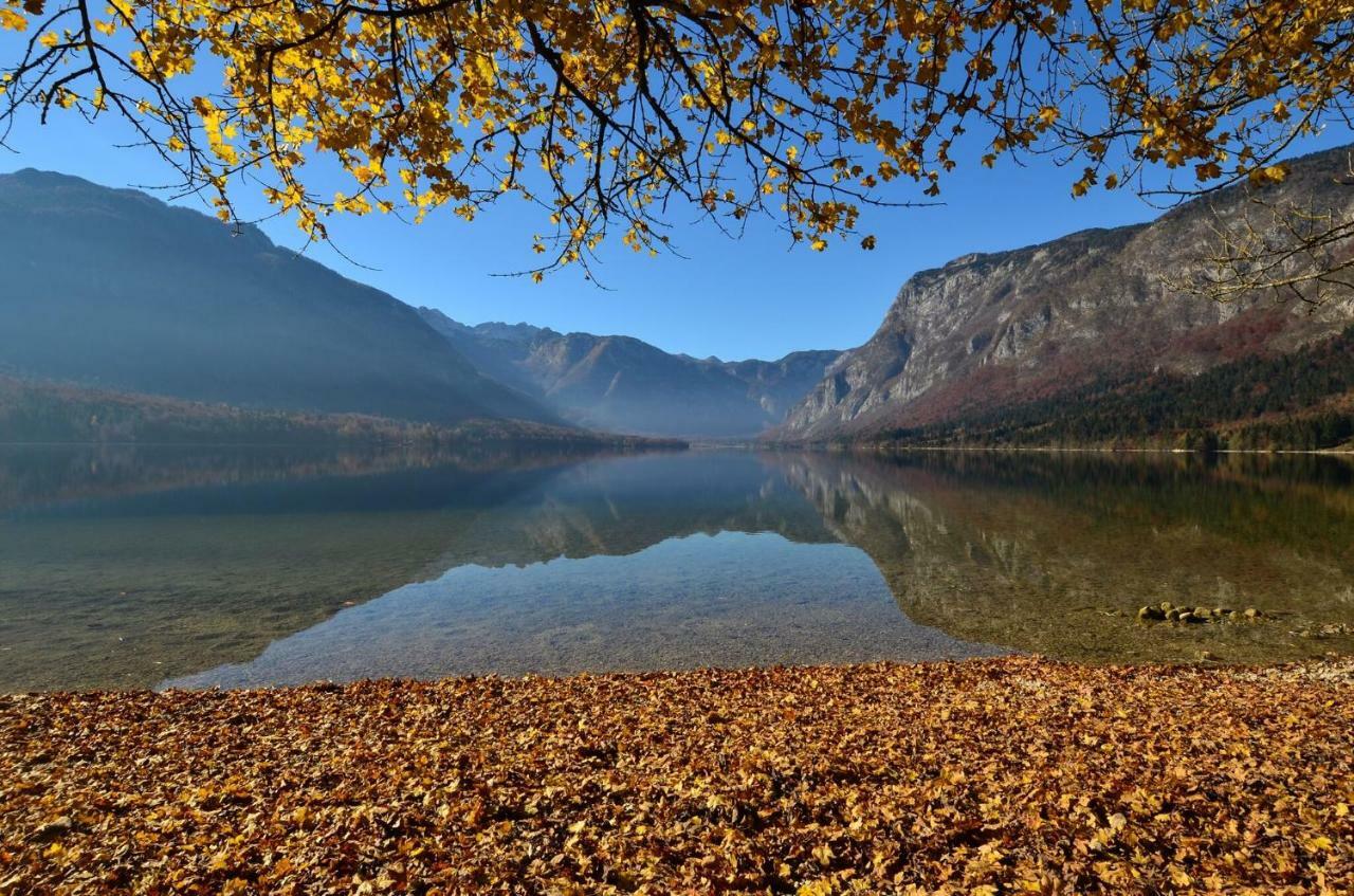 Apartma Pr Gatej Bohinj Extérieur photo